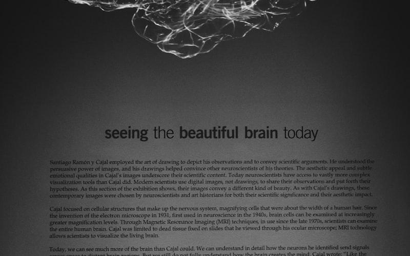Abstract black and white image of a brain
